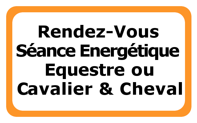 JB G Garcin RDV Reiki equestre